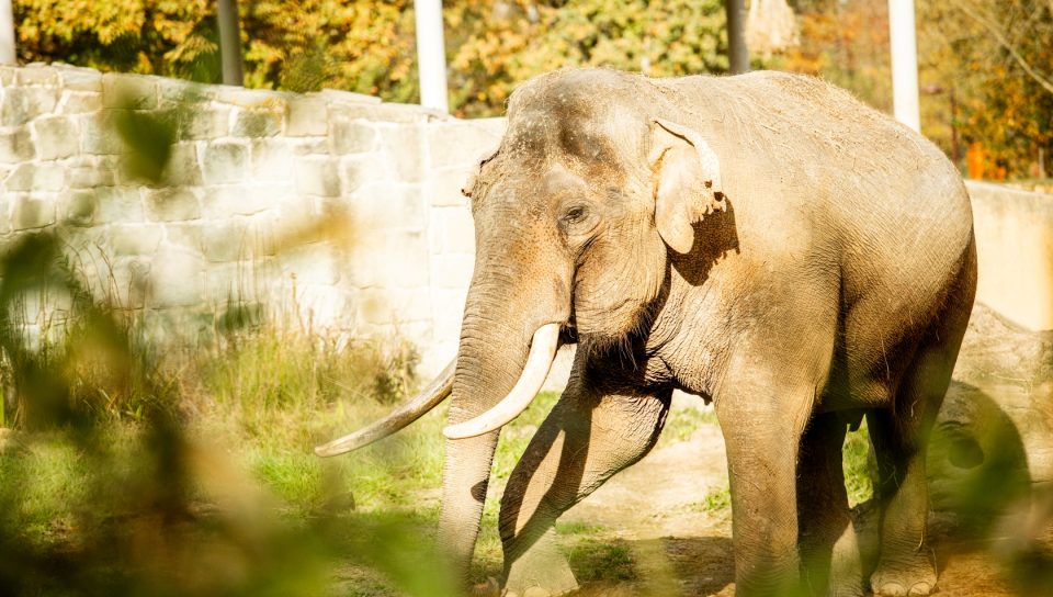 Colours Plus - Colours of Ostrava