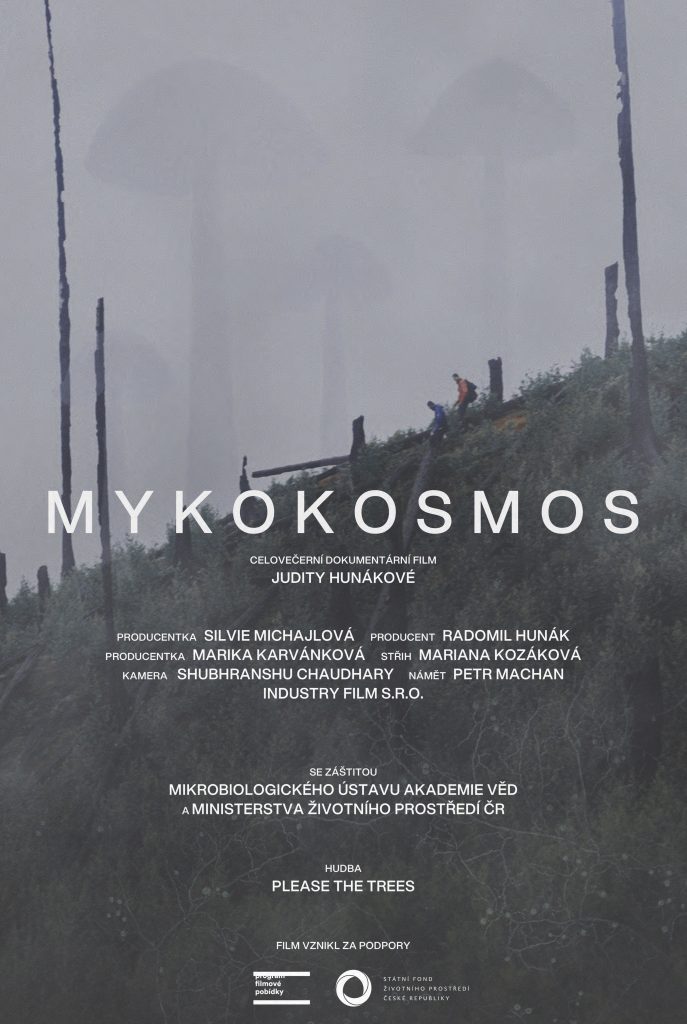Mykokosmos - Colours of Ostrava